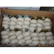 Exportation nouvelle culture chinoise pure ail blanc